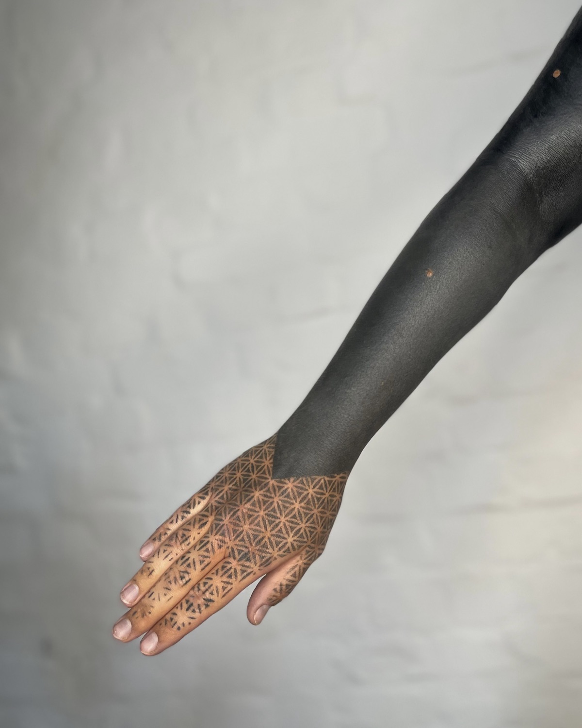 Blackwork Healed